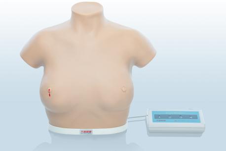 電子乳腺癌觸診、視診訓(xùn)練模型